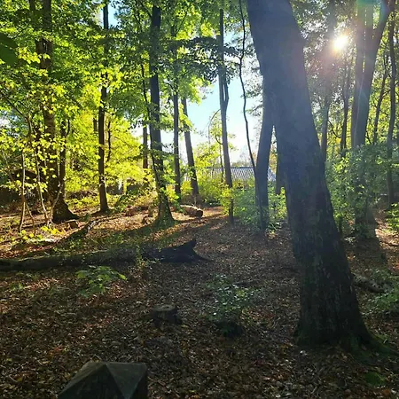 At Forest Edge With Hot Tub Near Dom wakacyjny